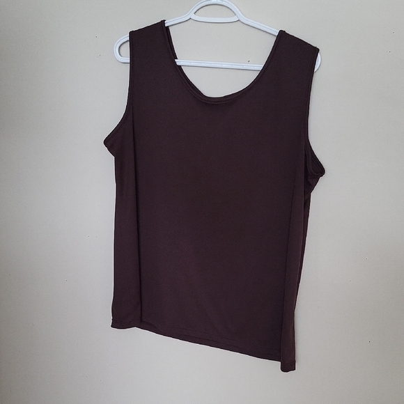 Women's Sleeveless Brown Top - Picture 1 of 4